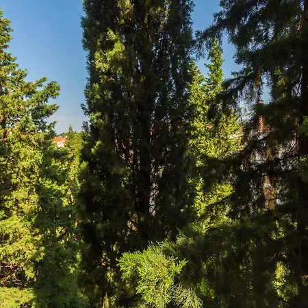 Perfect Chocolino Апартаменты