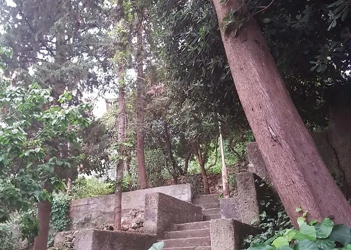 Perfect Chocolino Ragusa