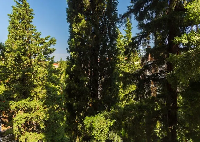 Perfect Chocolino Appartamento